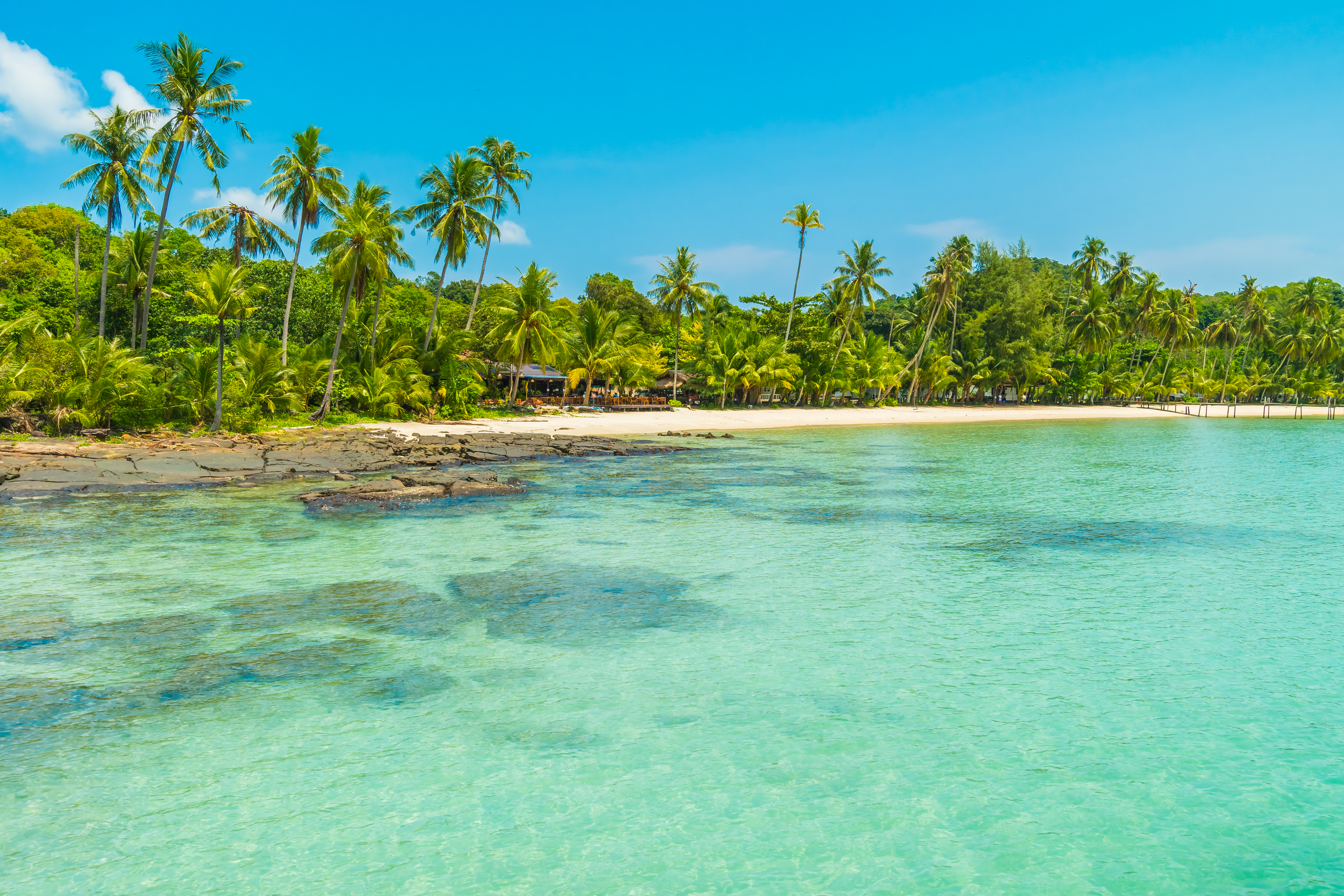 beautiful tropical beach sea