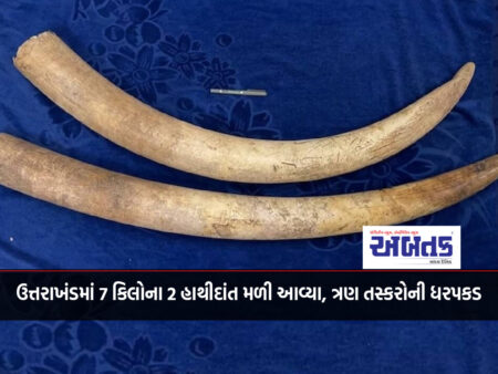 2 ivory of 7 kg found in Uttarakhand, three traffickers arrested