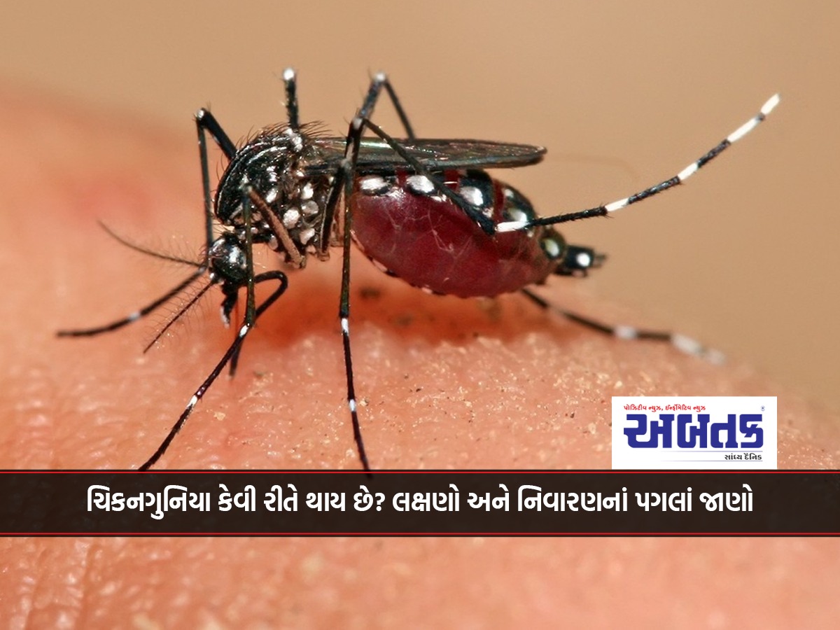 How does chikungunya occur? Know the symptoms and prevention measures