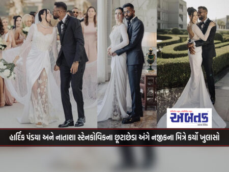 A close friend has opened up about Hardik Pandya and Natasha Stankovic's divorce