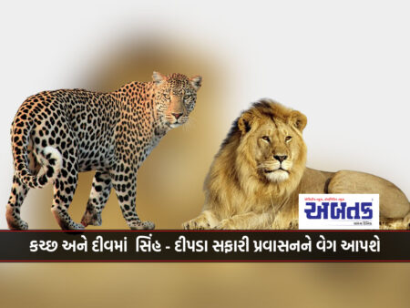 કચ્છ અને દીવમાં  સિંહ - દીપડા સફારી પ્રવાસનને વેગ આપશે