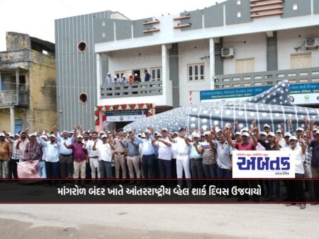 Mangrol: International Whale Shark Day celebrated at the port