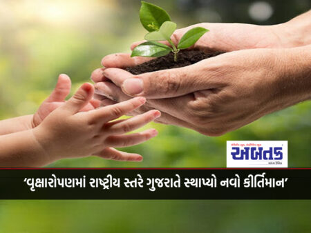 "Gujarat has established a new record at the national level in tree plantation"