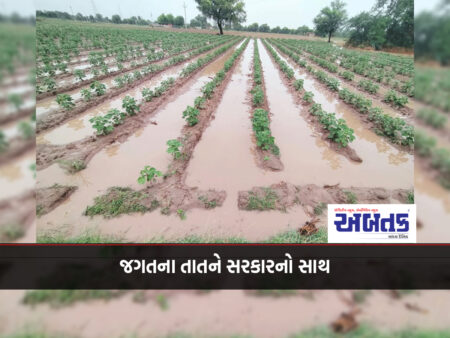 Agricultural relief-assistance package announced for farmers in areas affected by heavy rains in Gujarat in July-2024