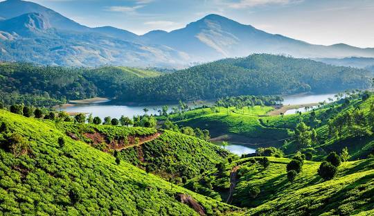 Munnar-Kerala