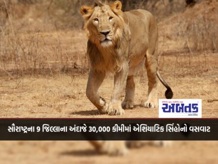 World Lion Day: Asiatic Lions live in approximately 30,000 km across 9 districts of Saurashtra