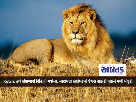 Lion 's roar to be heard in Kutch, Jungle Safari Park in Narayan Lake gets approval