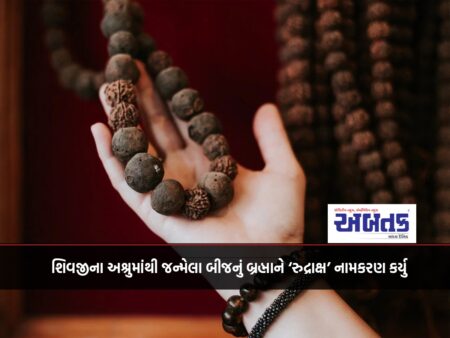 Brahma named the seed born from Shivaji's tears as 'Rudraksha'