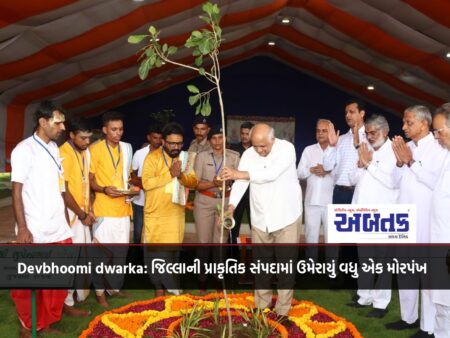 Devbhoomi dwarka: Another front added to the natural wealth of the district