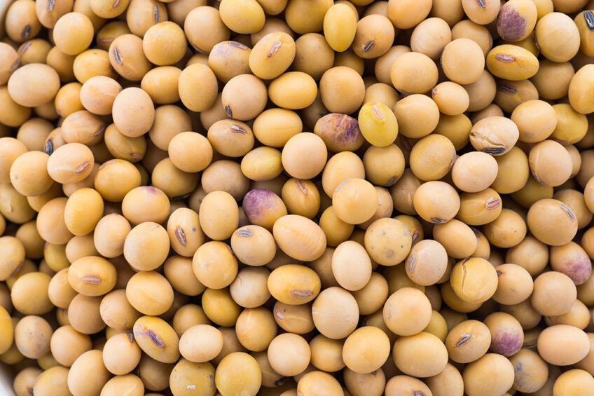 These beans are more powerful than chicken and eggs