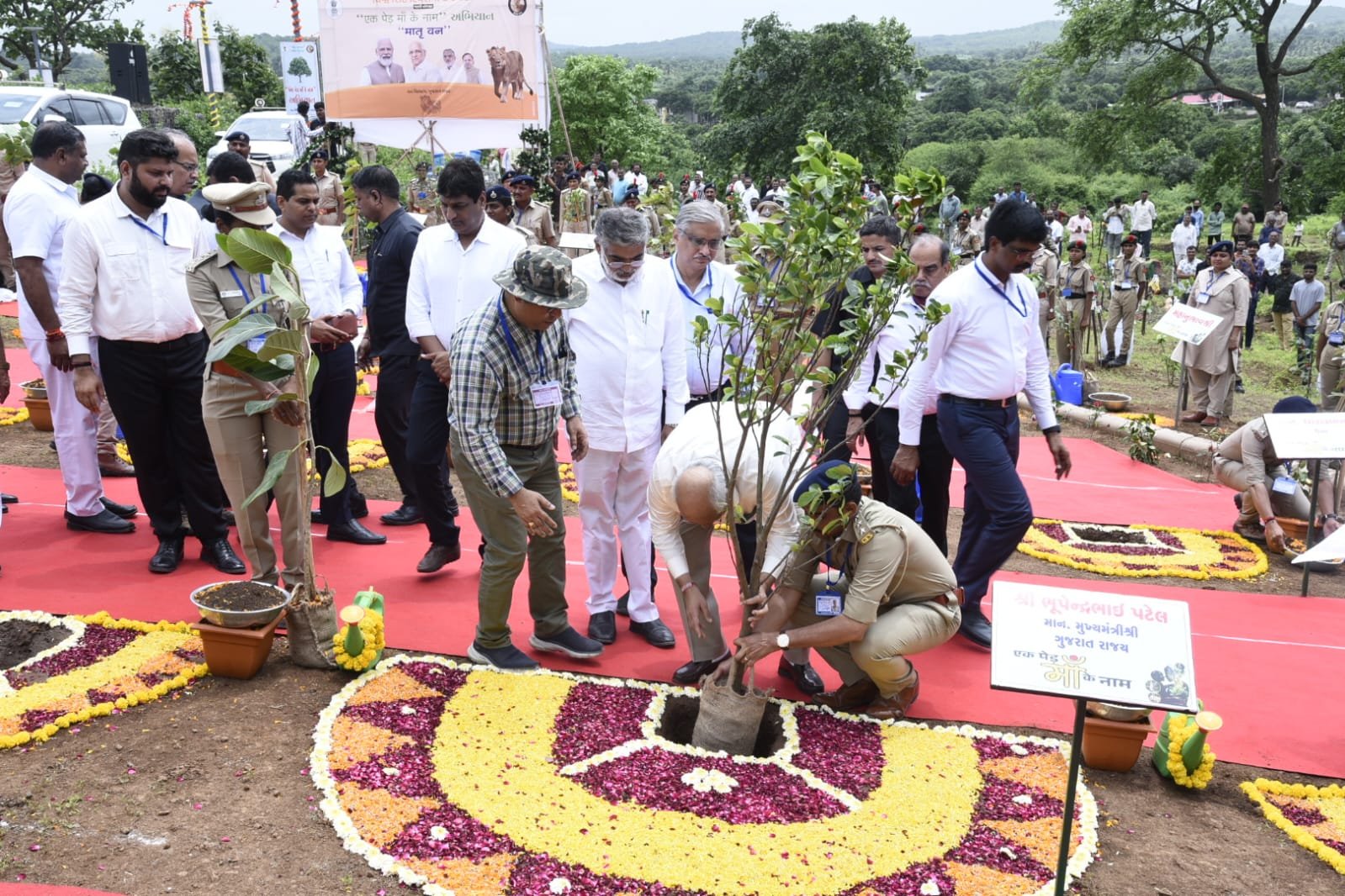 Gir somnath : Plantation done at sunset point developed at Bhalchel.