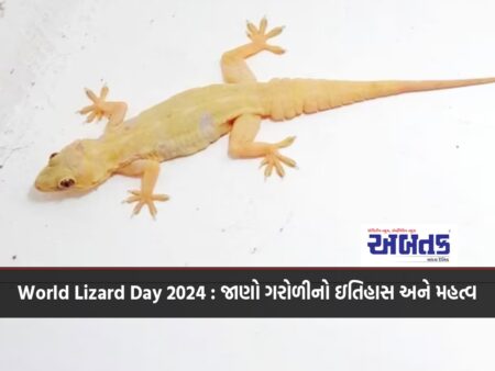 World Lizard Day 2024 : Know the history and importance of lizards