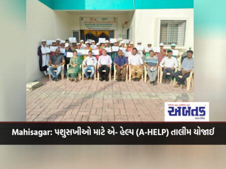 Mahisagar: A-HELP training for animal husbandry conducted