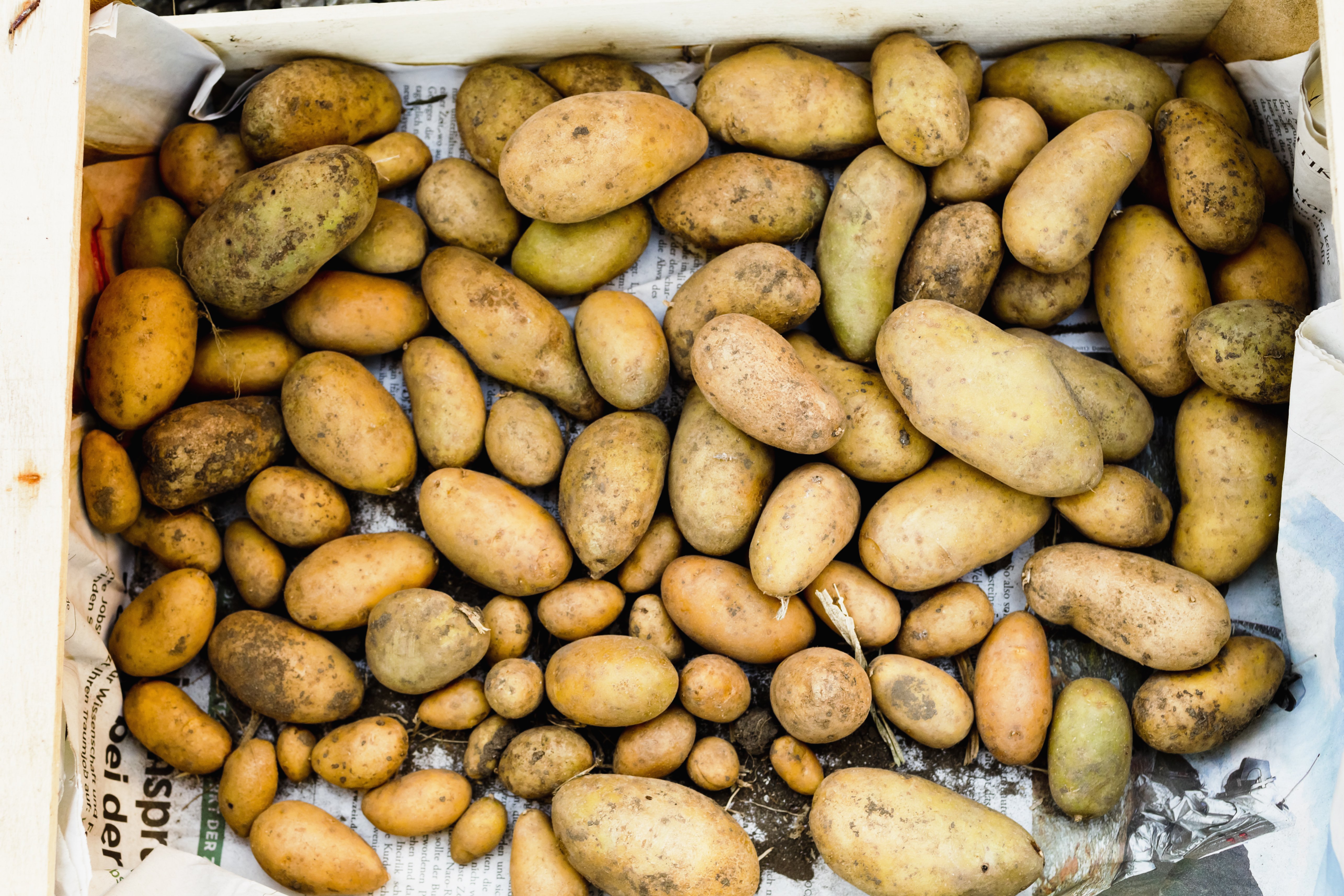 Store potatoes this way to prevent spoilage