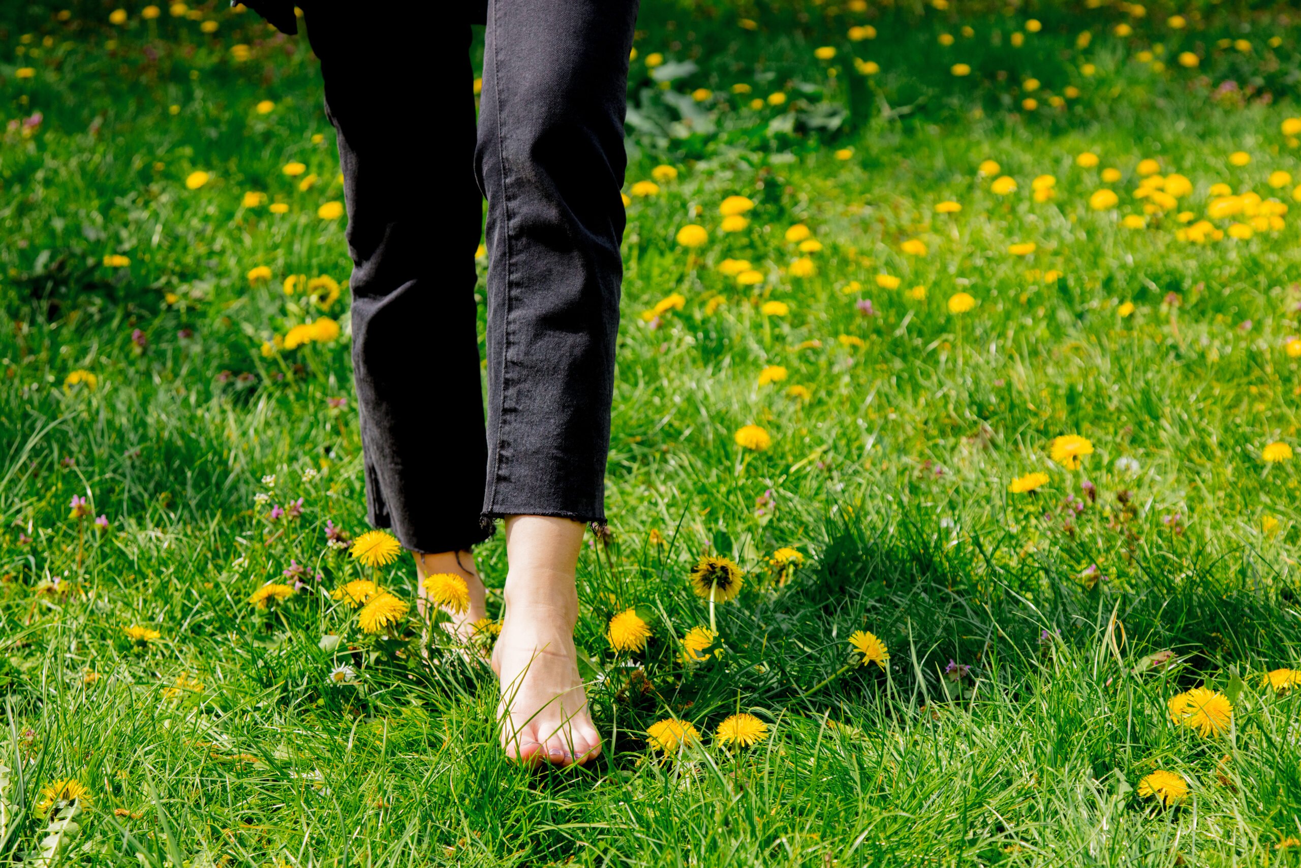 Is walking barefoot in grass dangerous to health?