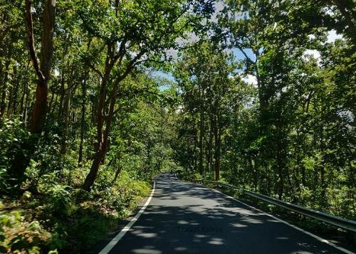 Not Himachal-Uttarakhand... This place is the best hill station