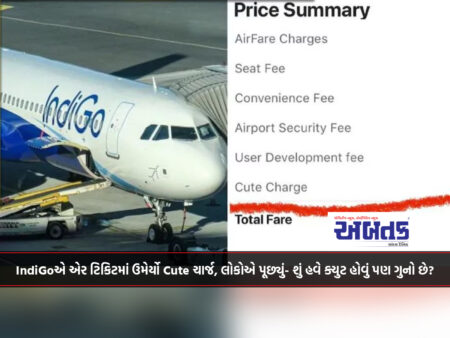 IndiGo adds cute charge to air tickets, people ask - Is it a crime to be cute now?