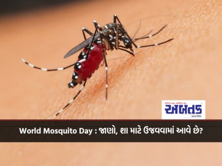 World Mosquito Day: Know, Why is it celebrated?