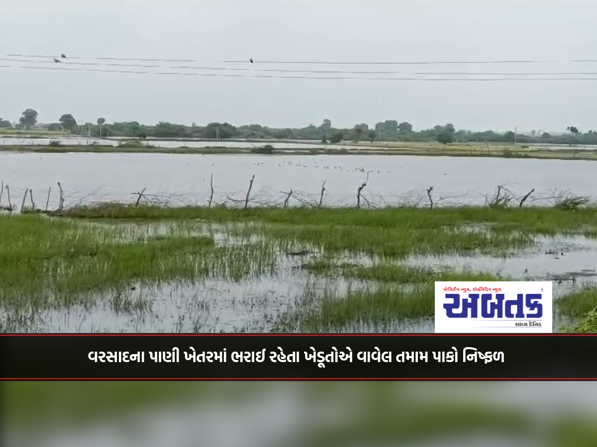 Patan: All the crops planted by the farmers failed as the rainwater flooded the fields