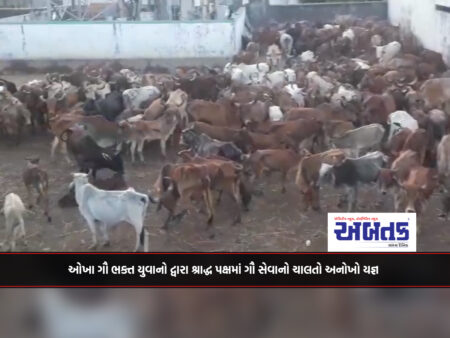 Okha: A unique Yagya of Cow Seva performed by cow devotee youth in Shraddha Paksha