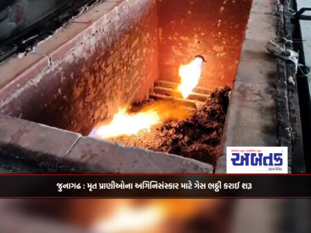 Junagadh: Gas furnace started for cremation of dead animals