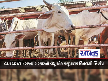 GUJARAT: Another animal husbandry-oriented decision of the state government