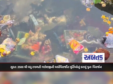 Surat: More than 2500 half-dissolved Ganesha idols re-immersed