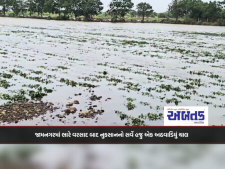 After heavy rains in Jamnagar, the damage survey will continue for another week