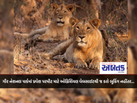 For entry permit to Gir National Park, book only from the official website otherwise...