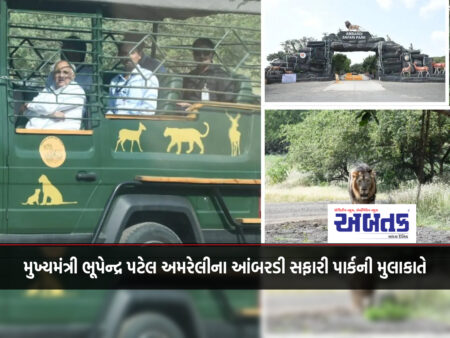 Chief Minister Bhupendra Patel visits Ambardi Safari Park in Amreli