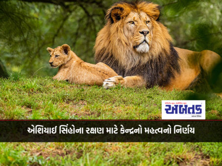 An important decision by the Center for the protection of Asiatic lions