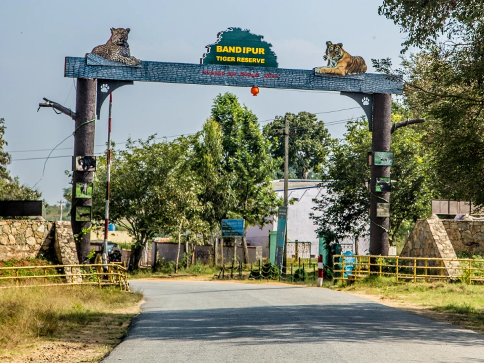 Bandipur National Park, Karnataka