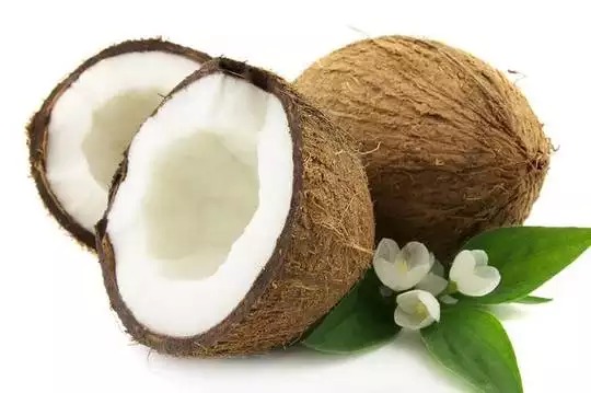 COCONUT 2