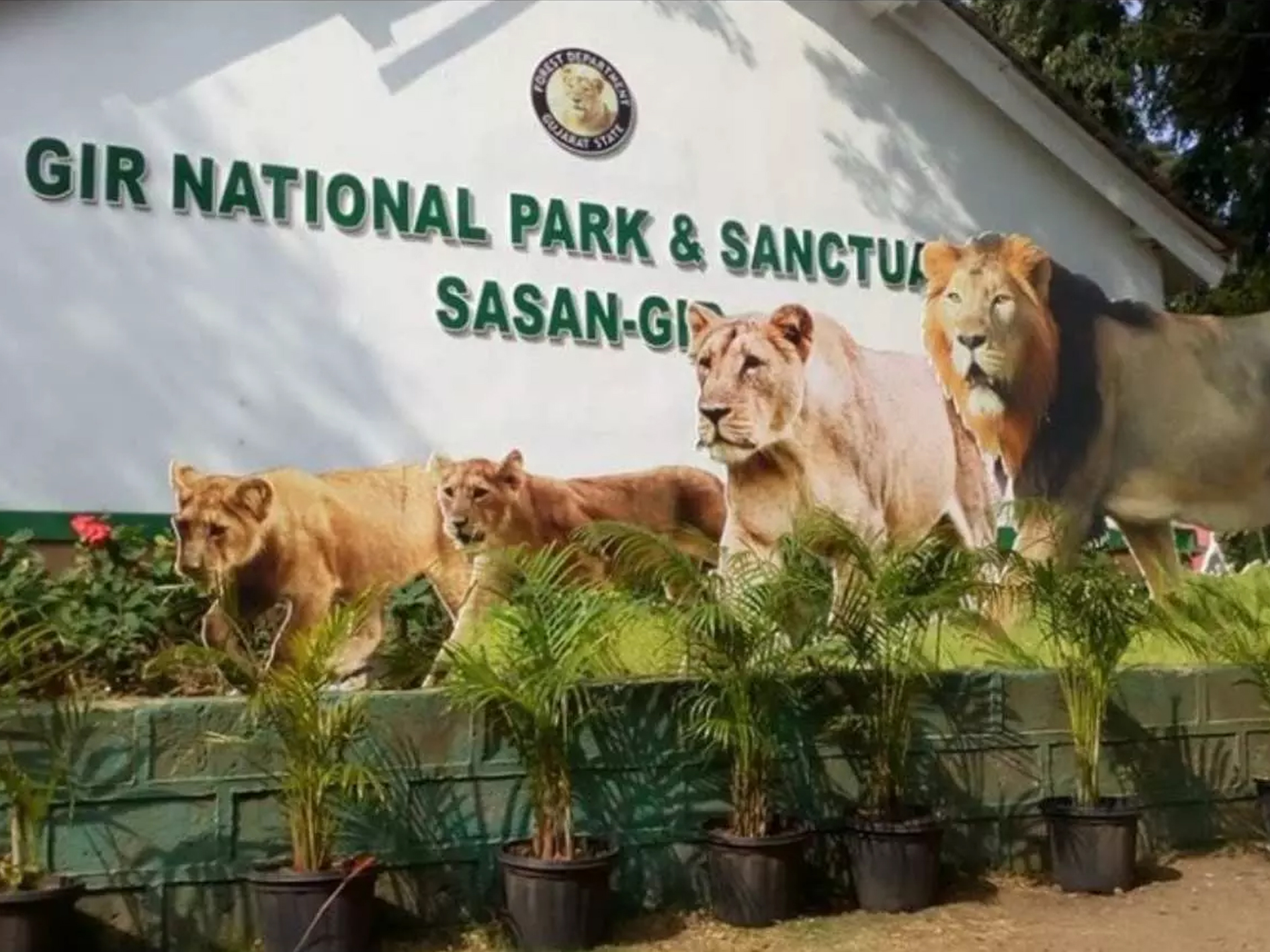 Gir National Park