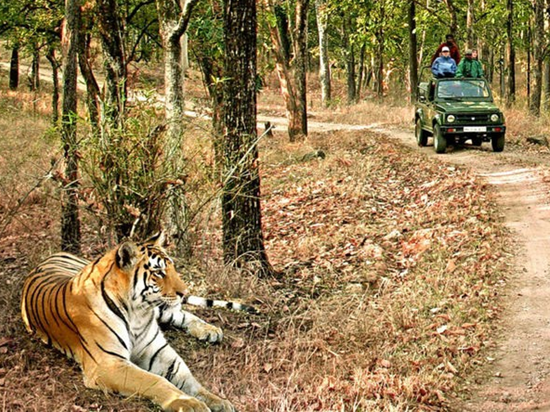 Jim Corbett National Park, Uttarakhand