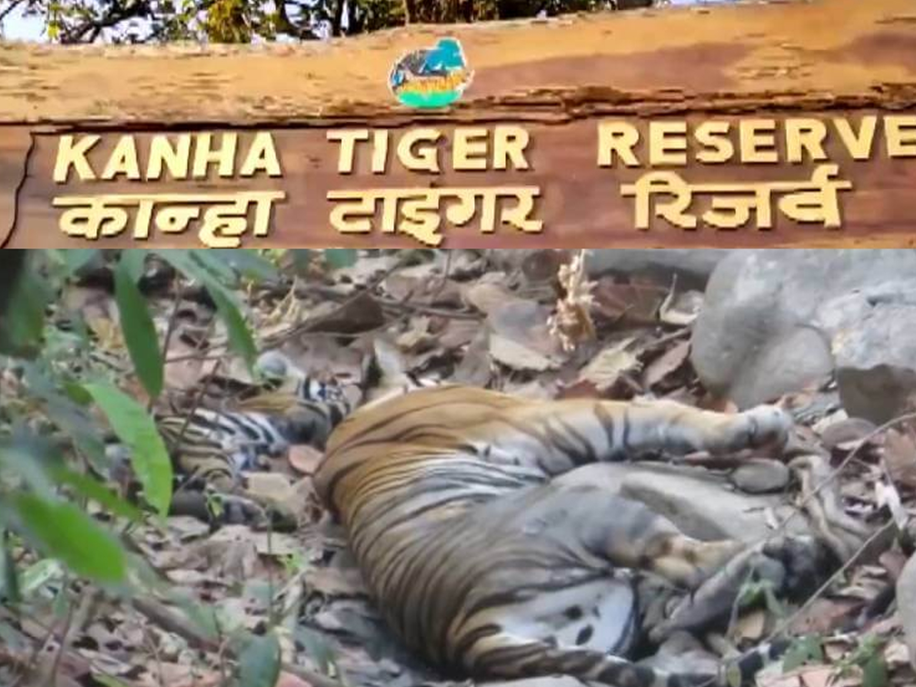 Kanha National Park, Madhya Pradesh