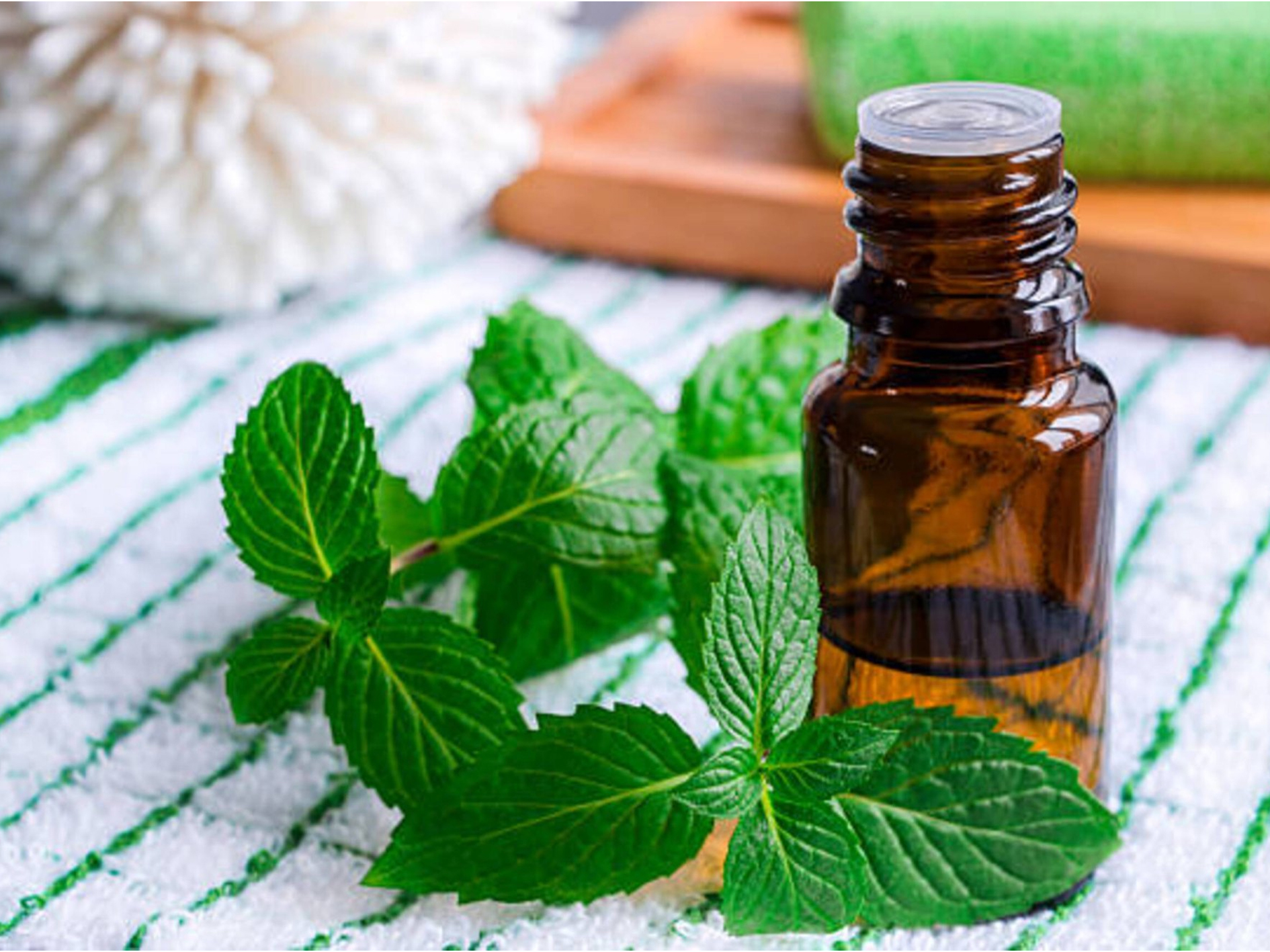 Peppermint oil