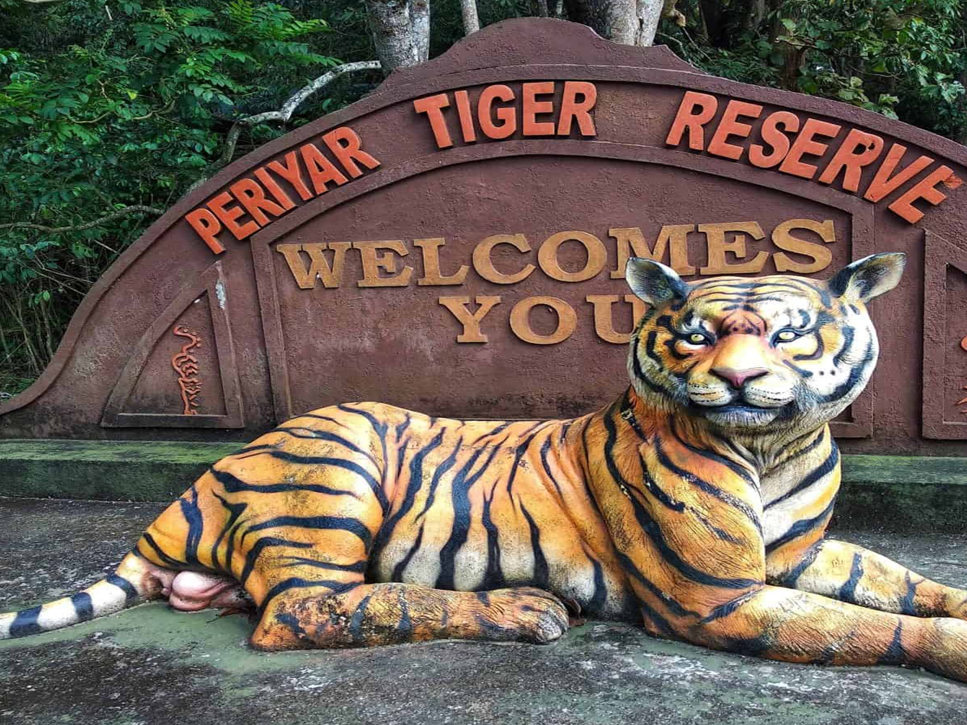 Periyar Tiger Reserve, Kerala