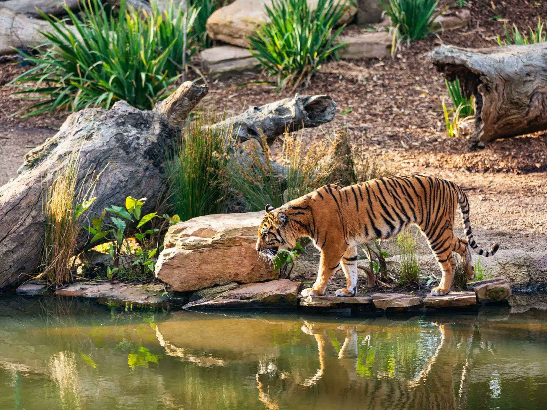 Sundarbans National Park, West Bengal