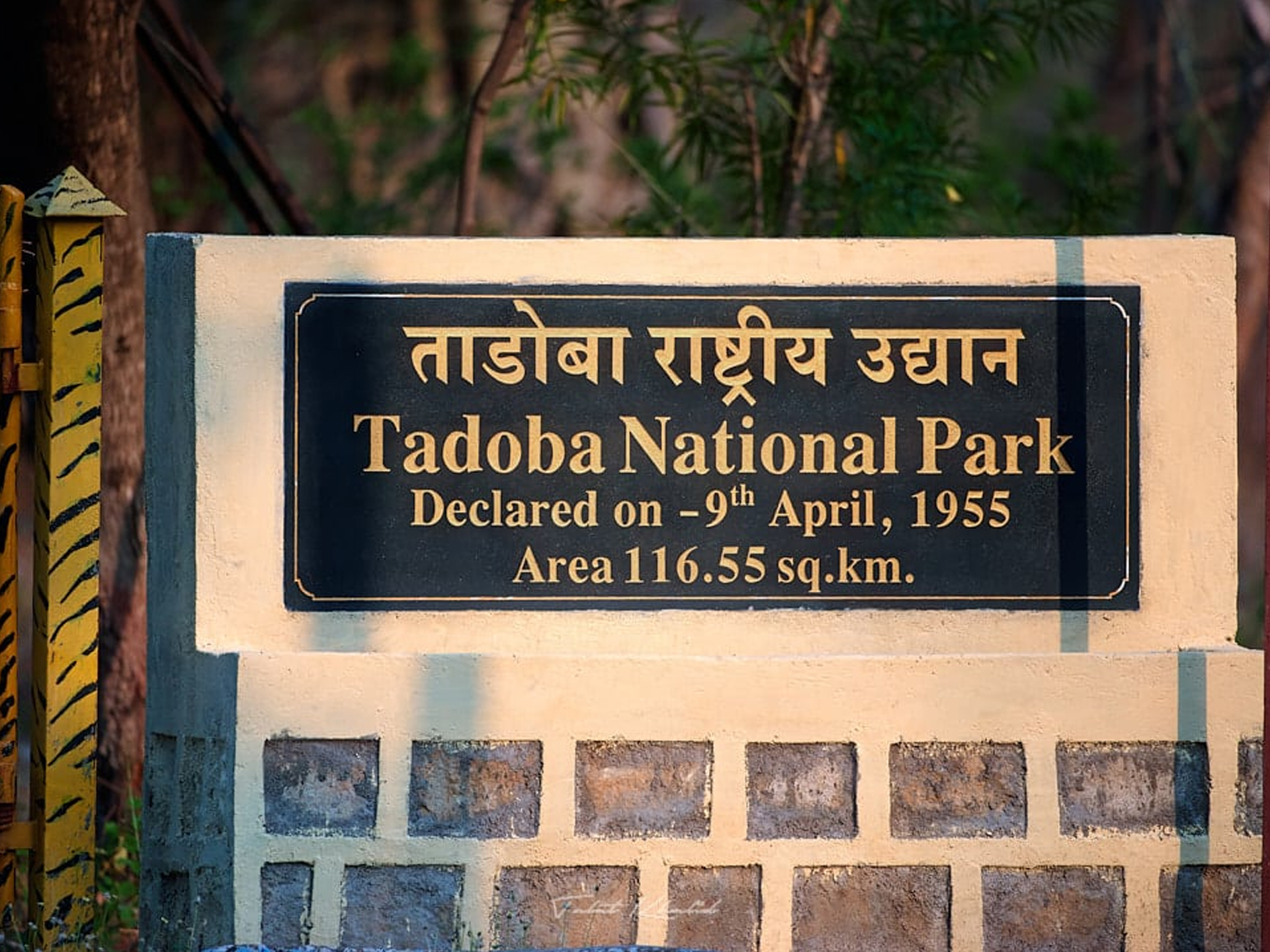 Tadoba National Park, Maharashtra