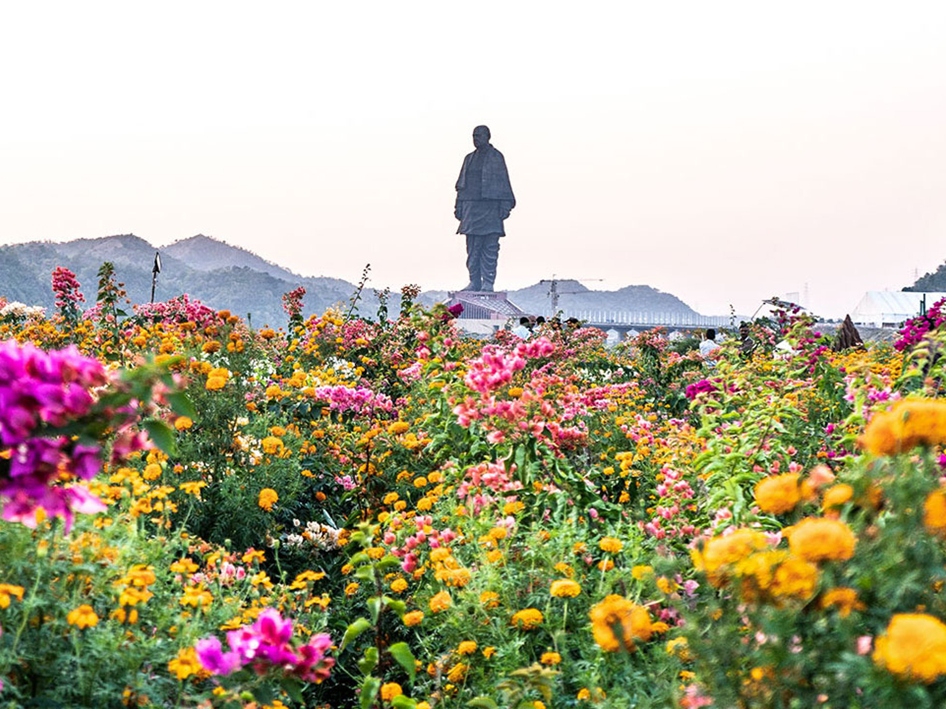 Valley of Flowers