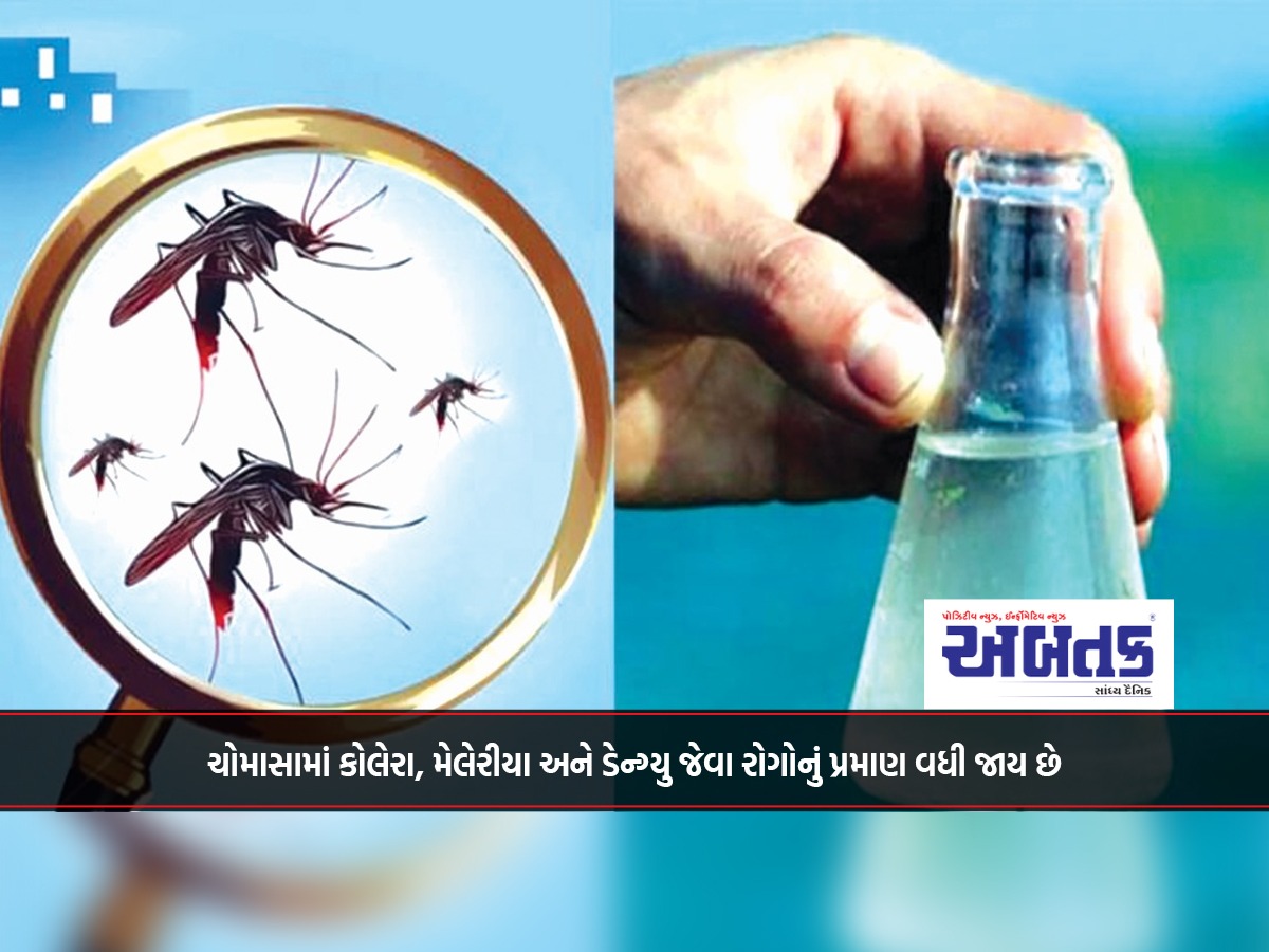 ચોમાસામાં કોલેરા, મેલેરીયા અને ડેન્ગ્યુ જેવા રોગોનું પ્રમાણ વધી જાય છે