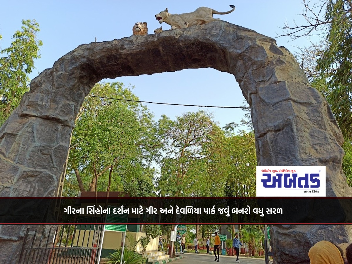 It will be easier to go to Gir and Devalia Park for the sighting of Gir lions