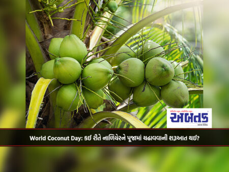 World Coconut Day: How did coconut worship begin?