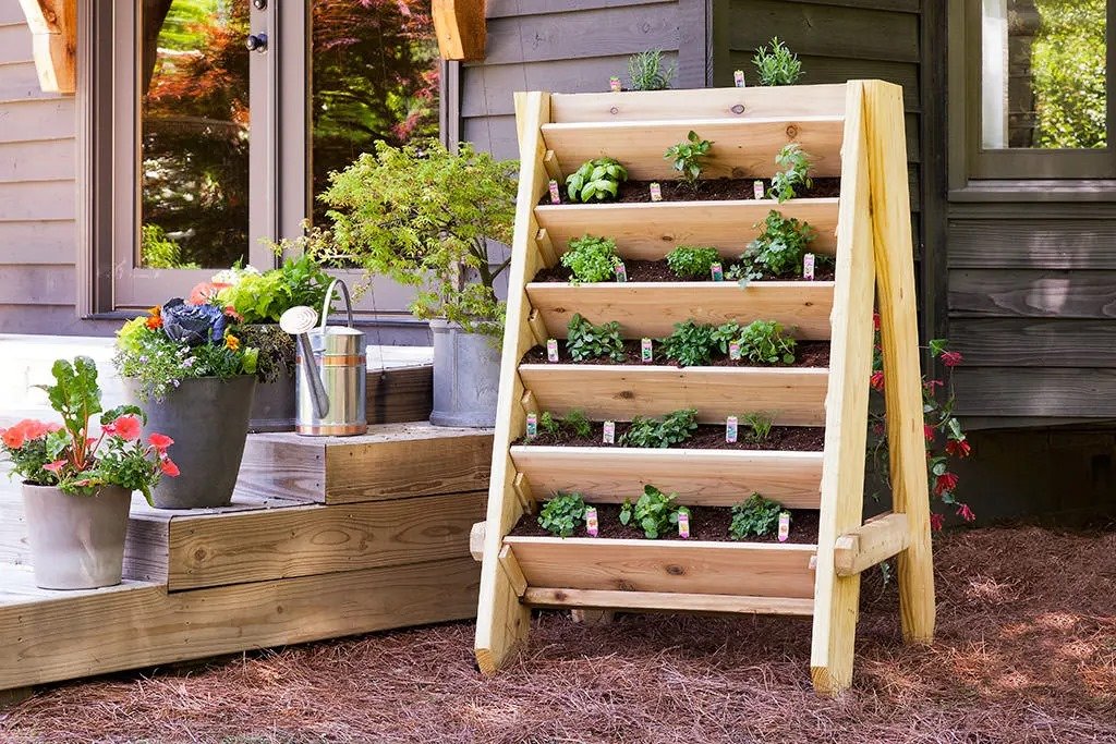 If you want to make a kitchen garden at home? So follow these gardening tips