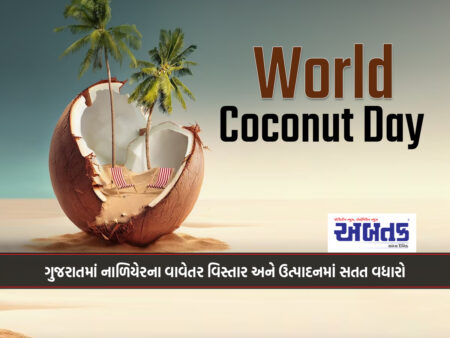 Continuous increase in coconut acreage and production in Gujarat