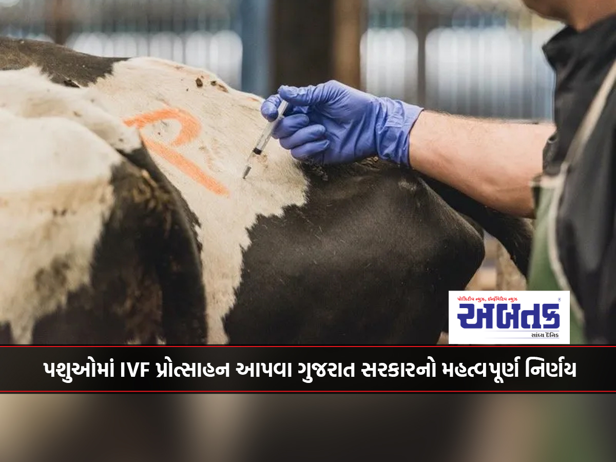 Important decision of Gujarat government to promote IVF in cattle