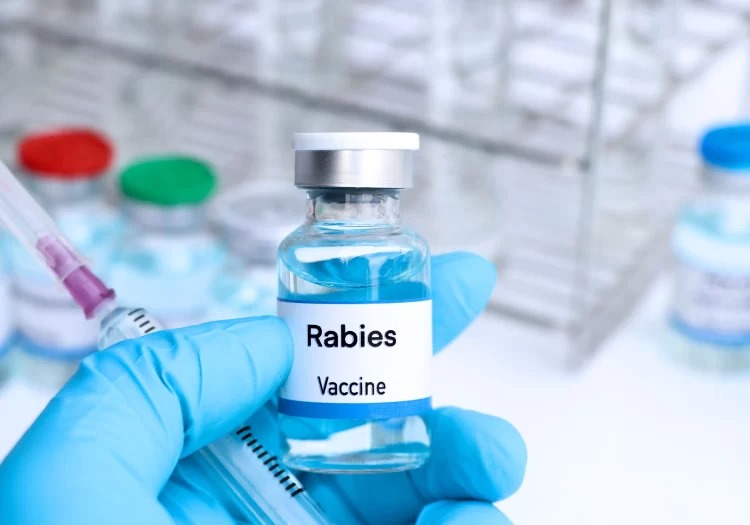 World Rabies Day 2024 : Do you know, who developed the first rabies vaccine?