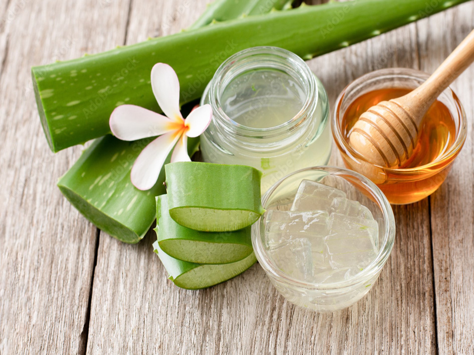 05 Aloe Vera and Honey