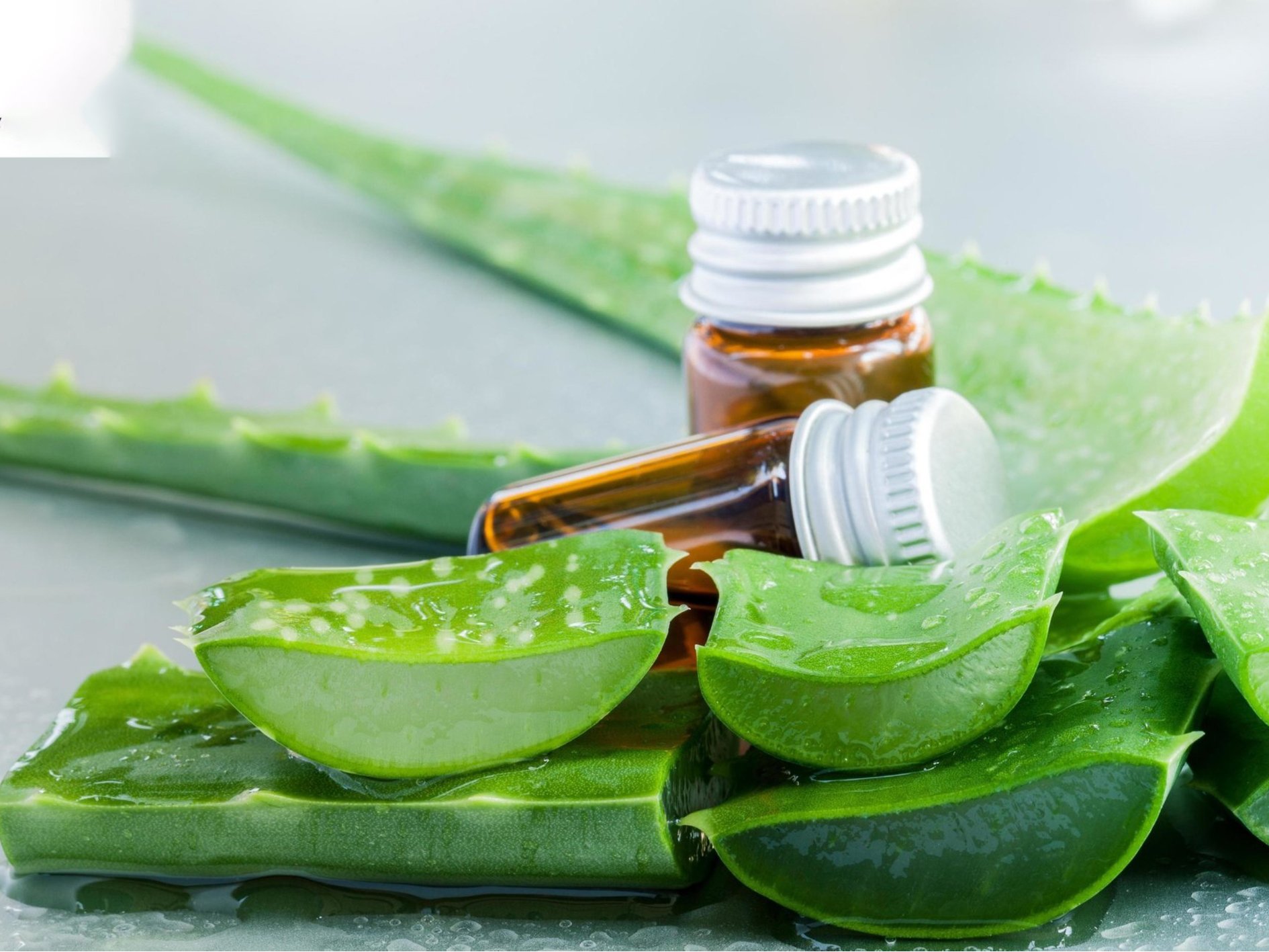 06 Aloe Vera with essential oils